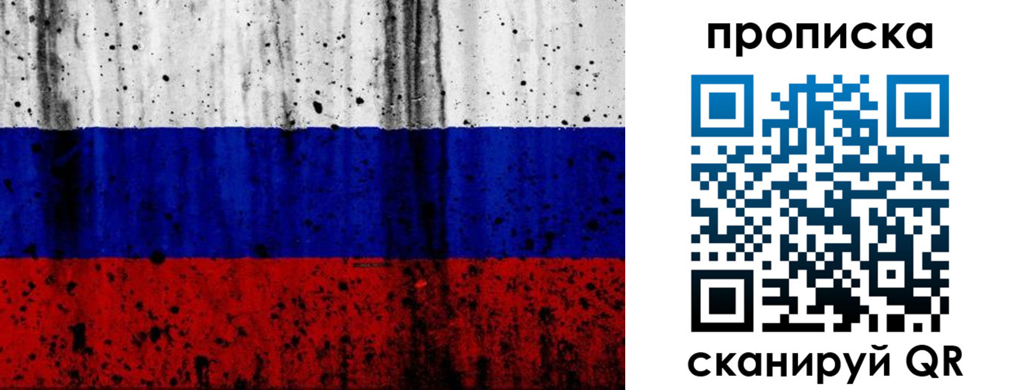 прописка поиск в Гусеве